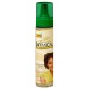 BOTANICALS Styling Mousse for styling 251ml