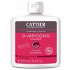 CATTIER PARIS Shampoo for coloured hair ORGANIC 250ml