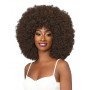 JANET perruque AFRO BADU (HD Lace Front)