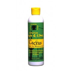 Lotion hydratante sans rinçage au Cactus 236 ml