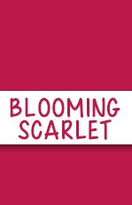 04 - Blooming Scarlet
