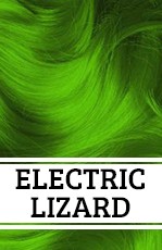 ELECTRIC LIZARD